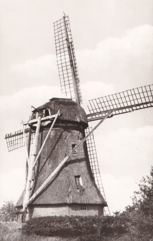 Molen Korenmolen, Koekange | Nederlandse Molendatabase